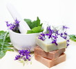 Herbs in Mortar with Soap