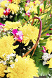 Yellow Flowers Bouquet