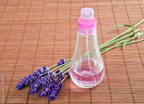Photo: lavender lavender