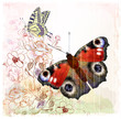 Vector: Butterflies and roses Butterflies and roses
