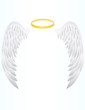 Angel wing