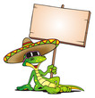Illustration: Lizard Sombrero Board Lizard Sombrero Board