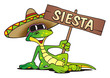 Illustration: Lizard Sombrero Sieste Lizard Sombrero Sieste