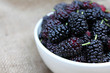 Photo: Black mulberries in a bowl Black mulberries in a bowl