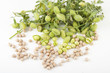 Photo: Burlap sack with chickpeas spilling out over a white background Burlap sack with chickpeas spilling out over a white background