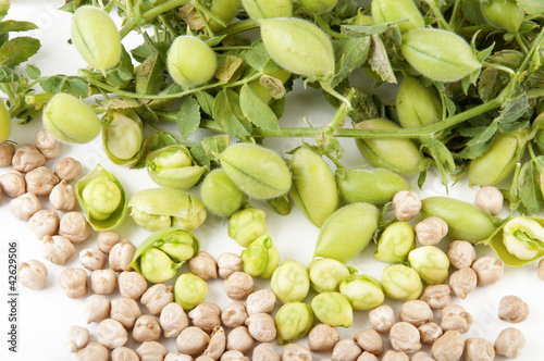 Photo: Burlap sack with chickpeas spilling out over a white background Burlap sack with chickpeas spilling out over a white background