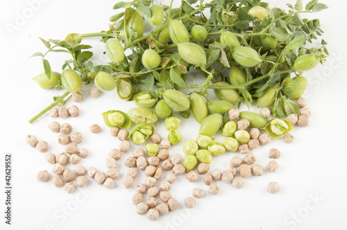 Photo: Burlap sack with chickpeas spilling out over a white background Burlap sack with chickpeas spilling out over a white background