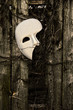 Masquerade - Phantom of the Opera Mask on Weathered Fence
