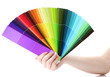 hand holding bright palette of colors isolated on white