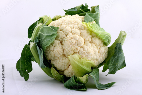 Photo: Blumenkohl Blumenkohl