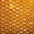 fresh honey in combs