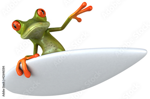 Illustration: Frog surfing Frog surfing