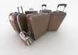travel bags