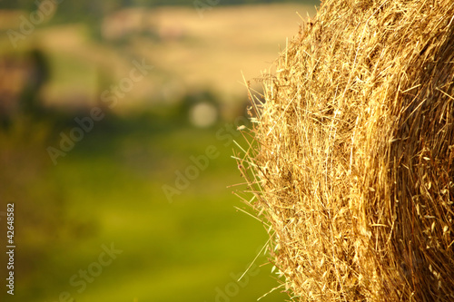 Photo: Tuscany Landscape With Hay Bales Tuscany Landscape With Hay Bales