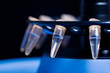 molecular biology