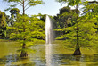 Foto: water spurt in a pond water spurt in a pond