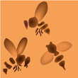 Vector: Set of little bees Set of little bees