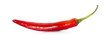 Red hot chili pepper on a white background