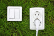 power receptacle and light switch on a green grass