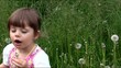 Video: dziewczynka z dmuchawcami dziewczynka z dmuchawcami