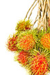 A Bunch Of Ripe Rambutan