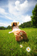 sunny day and Leisure