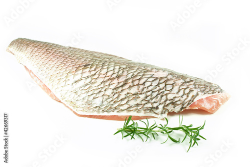 Foto: Fisch Fisch