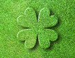 Clover shape in clover field