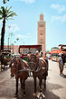 Horse Carriage