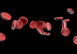 Illustration: streaming blood cells isolated on black streaming blood cells isolated on black
