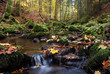 Monbachtal