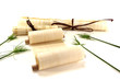 vergilbte Papyrusrollen mit Papyrus