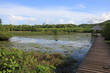 Photo: Guyane - Les Salines Guyane - Les Salines