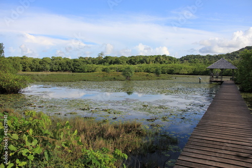 Photo: Guyane - Les Salines Guyane - Les Salines