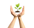 Protection des plantes