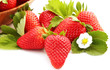 fragole con fiore