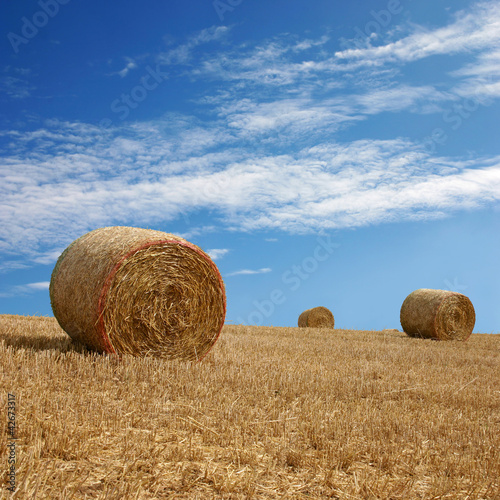 Photo: Straw Bales Straw Bales