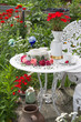 Romantisches Plätzchen im Garten