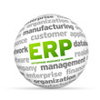 Enterprise Resource Planning
