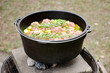 dutch oven 23c