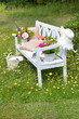 Picknick Bank