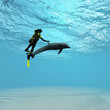 Diver with dolphin