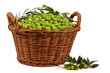Olives
