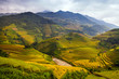 Quadro Rice Terraces