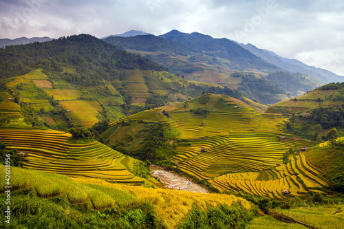 Photo: Rice Terraces Rice Terraces