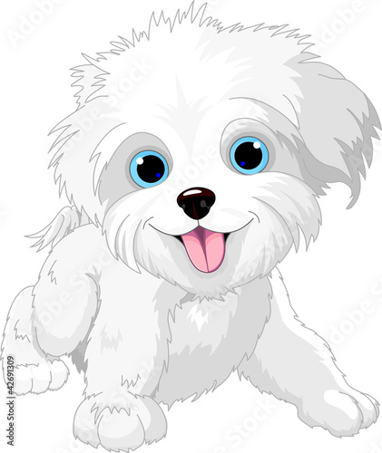 Vector: Playful lap-dog Playful lap-dog