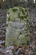 Grenzstein Kreis Hameln-Pyrmont