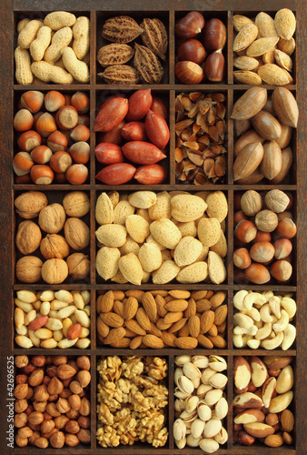 Photo: Nut varieties Nut varieties