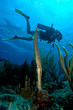 sxm8