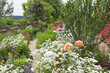 Nostalgie - ein Bauerngarten